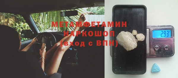 PSILOCYBIN Болхов